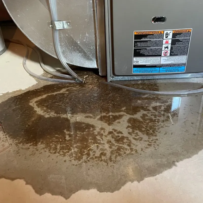 Pipe Burst and Leak Restoration in Fort Hunt, VA